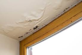 Ein wasserschaden in der wohnung kann teuer sein. Gutachter Fur Wasserschaden Finden Primaprofi De