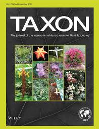 Image result for Impatiens gesneroidea