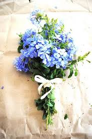 Wildflower Bouquet Wildflower Wedding Wildflower Bouquet Blue Bouquet