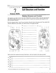 Want to see correct answers? Cell Structure And Function Jpg 1275 1644 Cells Worksheet Plant Cells Worksheet Biology Worksheet
