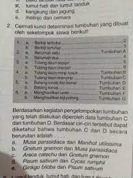 Jika yang dipilih adalah 1a (tumbuhan berupa herba), pilihan 1b gugur. Kunci Determinasi Tumbuhan Kunci Ujian
