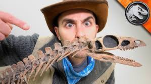 Hunting for Dinosaur Tracks!