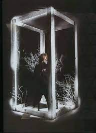 ruki the gazette the gazette jrock visual kei