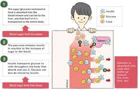 The dietary guidelines for americans 2010 suggest that most adults get 45 to 65 percent of their calories from carbohydrates. The Relationship Between Blood Sugar Level And Gi Otsuka Pharmaceutical Co Ltd