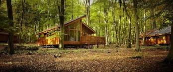 Maybe you would like to learn more about one of these? Forest Holidays At Cropton Dalby Forest Forestry England