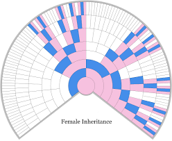 Female X Dna Inheritance Chart Unlocking The Genealogical