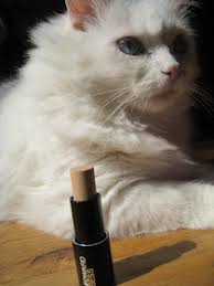 Hairstyle Trends: Edward Bess Platinum Concealer (Soft Beige)