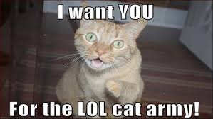 Image result for lolcats