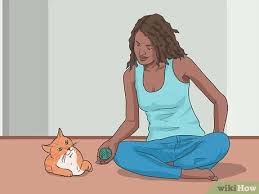 Once your cat gets the hang of fetch, you can progress the game. How To Play Fetch With Your Cat 9 Steps With Pictures Wikihow Pet