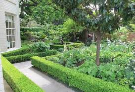 Toorak 2 Garden Design Commercial Landscape Design Landscape Design