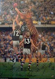 Pin By Lucano Divina On Una Vida A Rayas Richmond Football Club Australian Football League Tiger Football