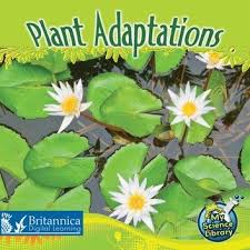 Plant Adaptations Ebook By Julie K Lundgren Rakuten Kobo In 2020 Plant Adaptations Plant Adaptations Activities Adaptations