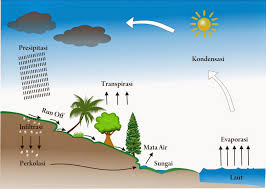 Hasil gambar untuk contoh iklan dengan tema kesehatan poster. 32 Top Poster Tentang Siklus Air Bagi Kehidupan Terkini Homposter