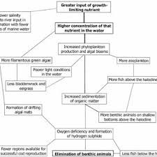 A Conceptual Flow Model Of The Eutrophication Process After