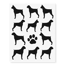 We did not find results for: Boxer Dog Silhouettes Temporary Tattoos Zazzle Com