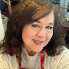 What are the vehicles seen