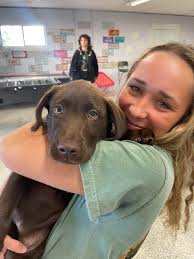 Hey everyone! My name is Alyssa Phifer and I just moved to jacksonville  North Carolina! I am graduating highschool may 30th and would love  opportunities to make money doing something I love!