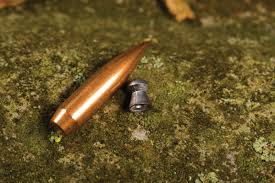 If you have a garden and rabbits, groundhogs, and other animals find their way before hunting, you should read the following guide to pest control with pellet guns. Best Pellets How To Choose The Right One Airgun Magazine