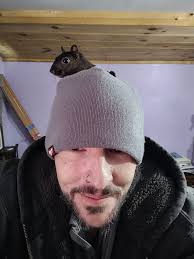 Squirrel Care and Rehabilitation Experiences