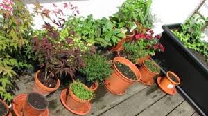 Maybe you would like to learn more about one of these? How To Plan A Small Garden Dengarden