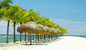 Image result for du lịch nha trang
