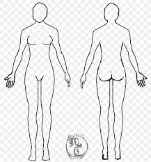 But they still have lots of questions about their changing bodies. Female Body Shape Human Body Diagram Drawing Woman Png 800x881px Watercolor Cartoon Flower Frame Heart Download