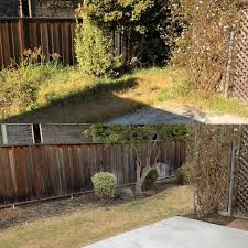 From clearing the grasses to using the plant material for composting, you will have a rewarding experience. Front And Backyard Yard Cleanup Frank S Yard Clean Up Facebook