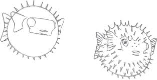 Maybe you would like to learn more about one of these? Getting Started Sea Creatures Book