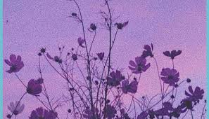 #flowers #drawing image by marta bieńkowska. Flowers Random Flowers Random Dark Purple Aesthetic Iphone Purple Aesthetic Wallpaper Neat