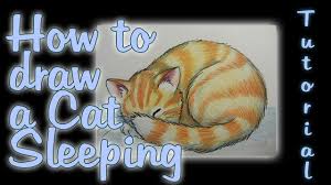Cursing cat coloring book for adults. How To Draw A Cat Sleeping Youtube
