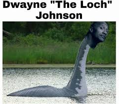 When i find the perfect rock on the ground to add to my rock collection. Dwayne The Rock Johnson Stolen Memes Album On Imgur