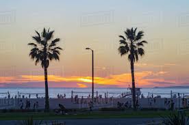 Another positive is the absence of aggro at bay st. Palm Trees On Beach At Sunset Santa Monica California United States Stock Photo Dissolve