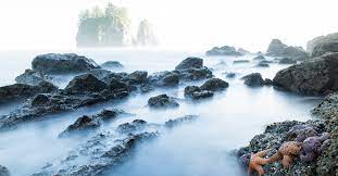 Maybe you would like to learn more about one of these? Ruby Beach Seabrook Vacation Rentals