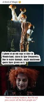 We did not find results for: You Re Entirely Bonkers But I Ll Tell You A Secret All The Best People Are 9gag