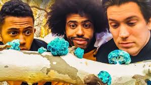 Boletus Frequencia" (Ep2) The Away Team