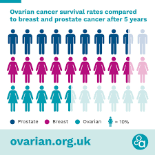 Goff, a gynecologic oncologist at. Ovarian Cancer Action On Twitter Only 46 Of Women Diagnosed With Ovarian Cancer In England And Wales Survive Their Disease For Five Years Or More This Is Compared With 85 Of Men