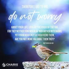 Look At The Birds Of The Air Verse Therefore I Say To You Do Not Worry About Your Life Look At The Birds Of The Air For They Neither Sow Nor Reap Bible College Matthew 6 25 Bible Study Plans