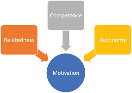 A Parallel Mediation Study of Hospitality Employee's Innovative Work  Behavior and Proactivity Using Self-Determination Theory - Taiwo Temitope  Lasisi, Constanta Enea, Kayode Kolawole Eluwole, Serdar Egeli, 2024