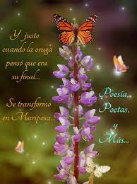 De Oruga A Mariposa Https Www Facebook Com Pages Poesia Poetas Y Mas 36347968033276 De Oruga A Mariposa Poesia Poetas
