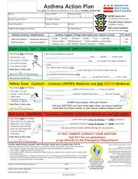 Image result for Mild Persistent Asthma