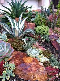 The succulents are an impeccable option for decorating a house. 25 Catchy Outdoor Succulent Garden Ideas Digsdigs