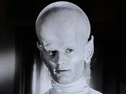 Did Gene Roddenberry get the idea for Spock's ears from 'The Outer Limits'?