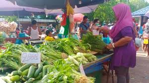Harga sayuran hijau hari ini agar tidak bingung, berikut hargano paparkan daftar beberapa sumber sekaligus yang akan memudahkan anda mendapatkan sayuran hijau yang bagus dengan harga terbaik tanpa harus membandingkan harga sayuran hijau dari puluhan penjual di ssitus ternama satu per satu. Ramadhan 2021 Harga Sayuran Di Batam Turun Simak Daftar Harga Sayuran Terbaru Tribun Batam