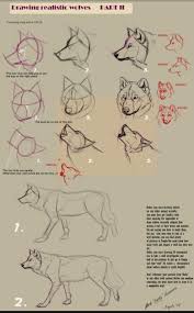 Guides To Drawing Wolves Realistic Drawings Sketches Drawings