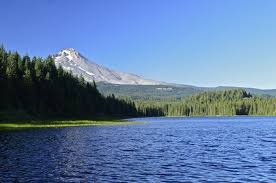 North wind around 5 mph becoming calm in the morning. Trillium Lake Hike Oregon