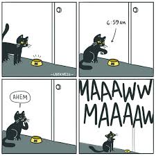 By Larkness Cat Furry Cat Comics Cat Work