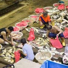 Find the thousand of services and latest products on streetdirectory food suppliers directory. Night Tour At Jurong Fishery Port Fully Booked Swiss Association Singapore Sas