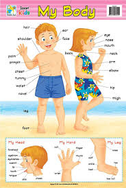 Jasart Kids Wall Chart My Body