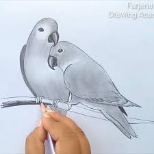 Two Parrots In Love By Pencil Sketch Video In 2020 Beauty Art Drawings Pencil Drawings Art Drawings Sketches Creative