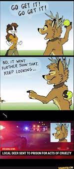 Pin On Humor